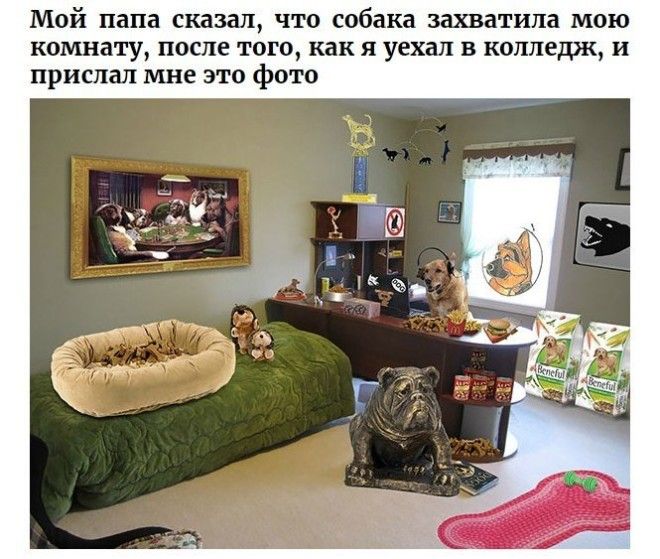 Родители которым чувства юмора точно не занимать