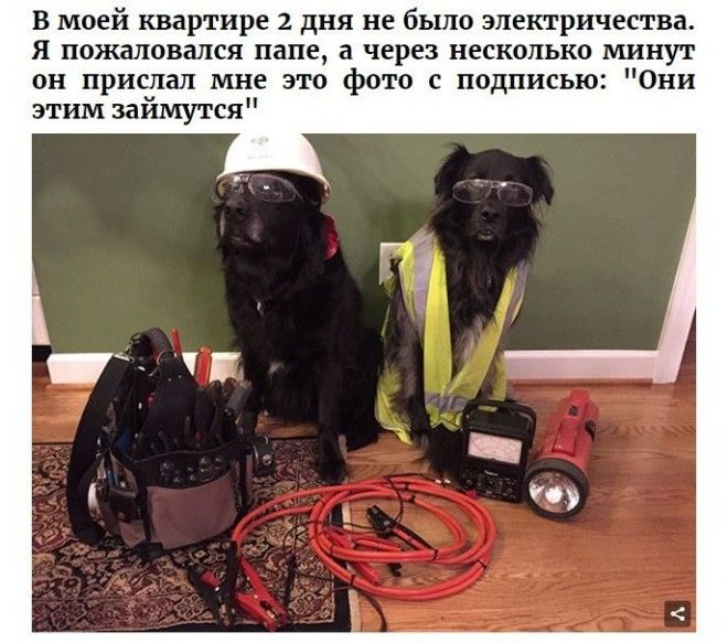 Родители которым чувства юмора точно не занимать