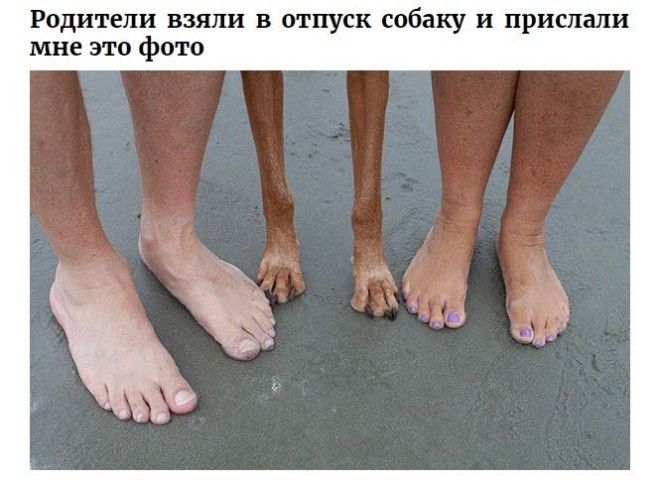 Родители которым чувства юмора точно не занимать