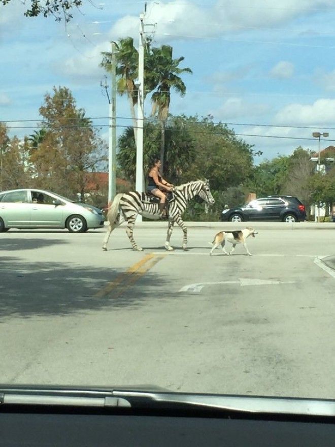 My Sister Lives In Florida And Sends Some Weird Pictures Of People. This Was Most Recent