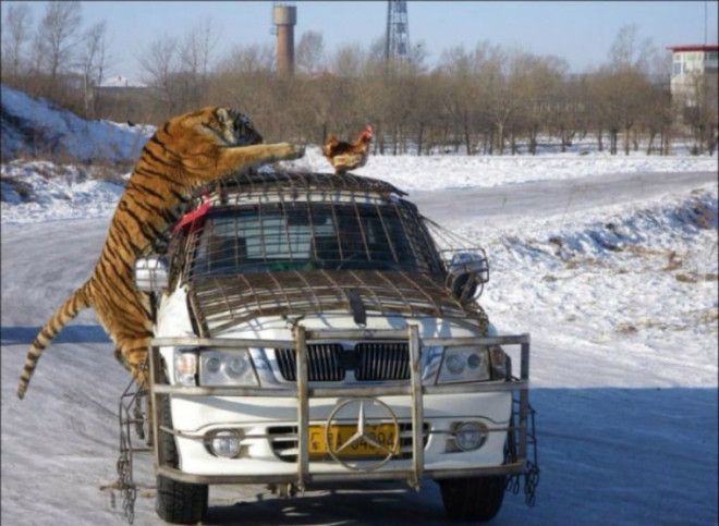 Охота. Охота