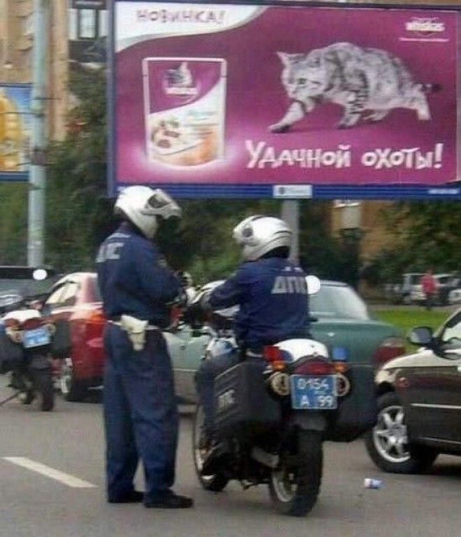 Охота бывает разной Охота бывает разной охота, прикол, юмор