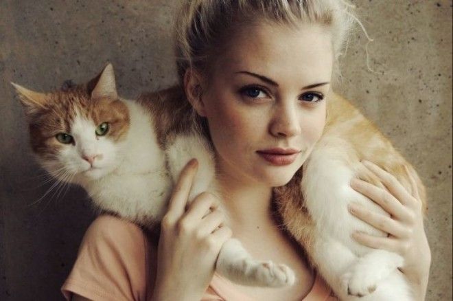 Без кота и жизнь не та