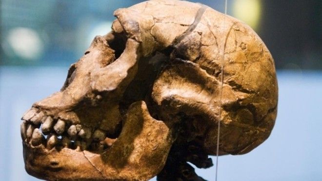 У древних людей, живших около 70–30 тыс. лет назад мозг был существенно крупнее нашего, примерно на 10–12% У древних людей, живших около 70–30 тыс. лет назад мозг был существенно крупнее нашего, примерно на 10–12% древние люди, история, факты, человечество