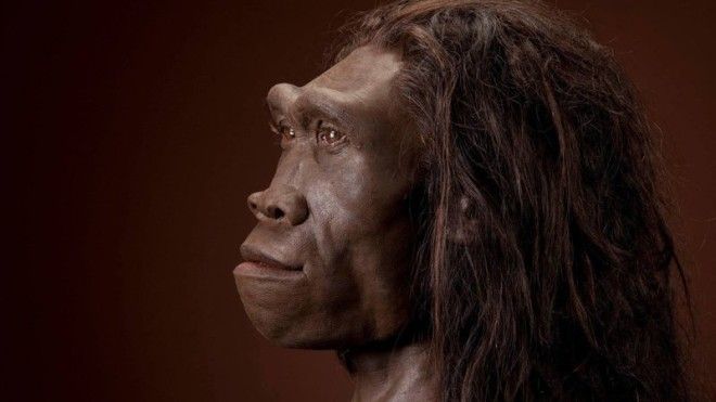 Homo erectus жили на Земле около миллиона лет, в 10 раз больше, чем мы, но так и не создали ни культуры, ни сложных орудий труда Homo erectus жили на Земле около миллиона лет, в 10 раз больше, чем мы, но так и не создали ни культуры, ни сложных орудий труда древние люди, история, факты, человечество