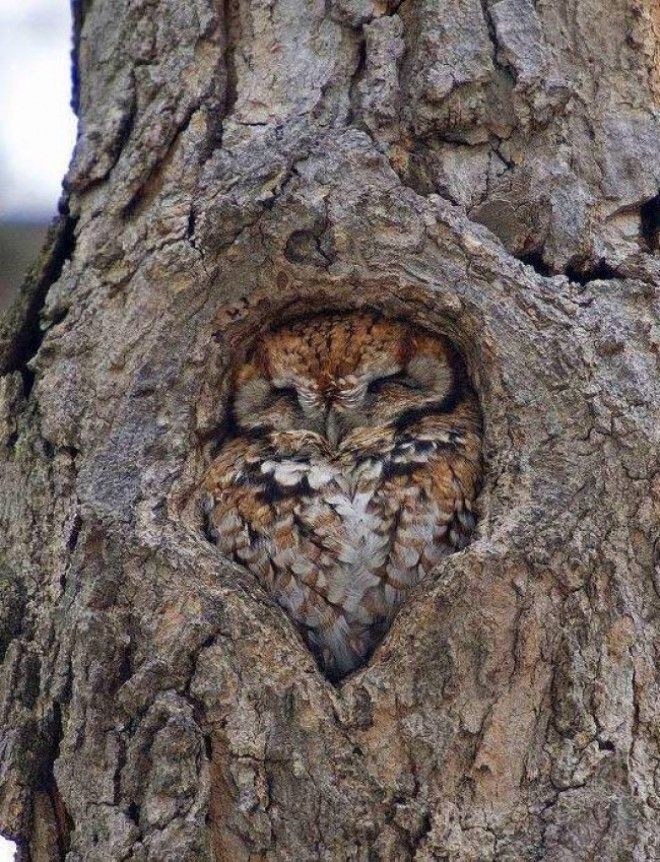 27 фото которые приведут вас в визуальный экстаз