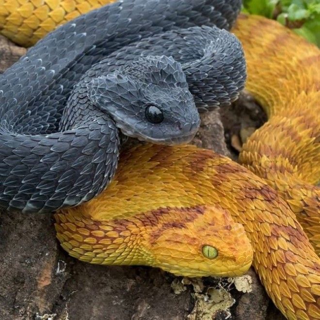 27 фото которые приведут вас в визуальный экстаз