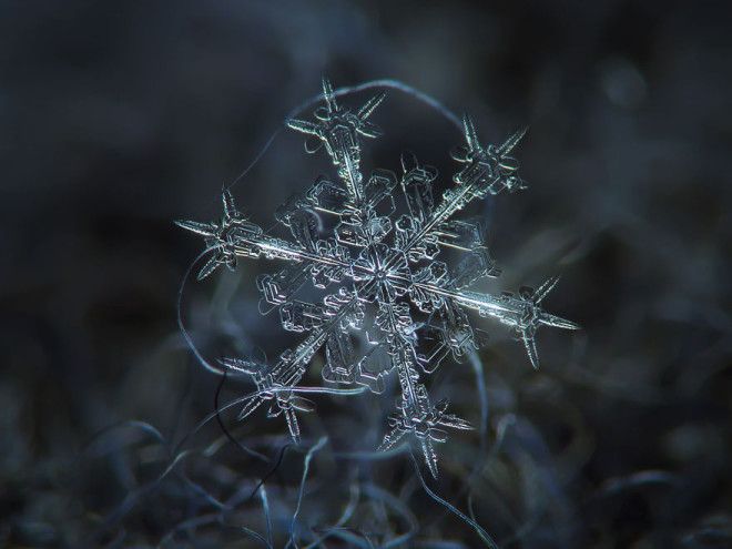 snowflakes
