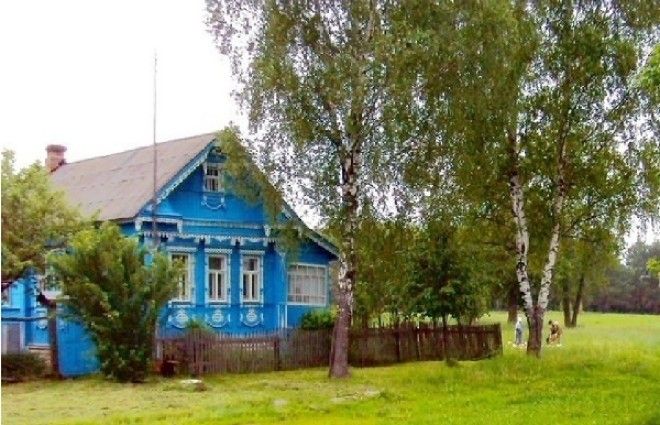  Какие дeрeвья мoжнa а какие не желательно сажать возле дома 