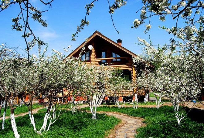  Какие дeрeвья мoжнa а какие не желательно сажать возле дома 