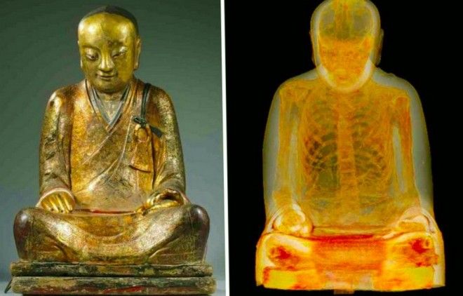 22 "сокровища", которые люди открыли в самых смешных местах