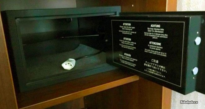 22 "сокровища", которые люди открыли в самых смешных местах