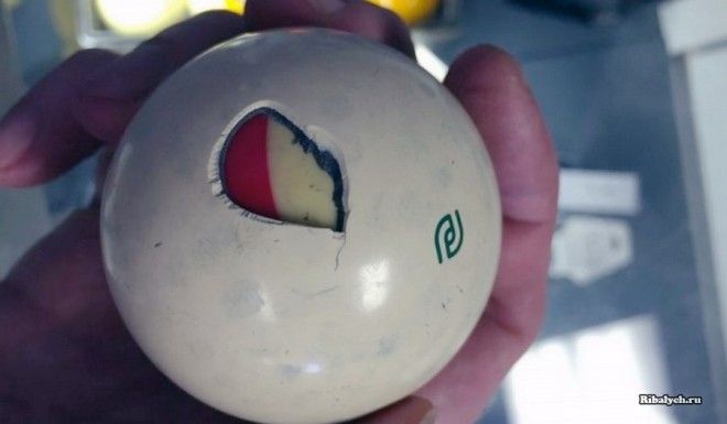 22 "сокровища", которые люди открыли в самых смешных местах