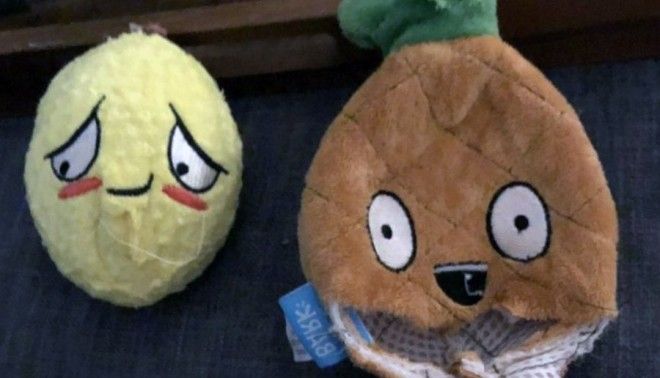 22 "сокровища", которые люди открыли в самых смешных местах