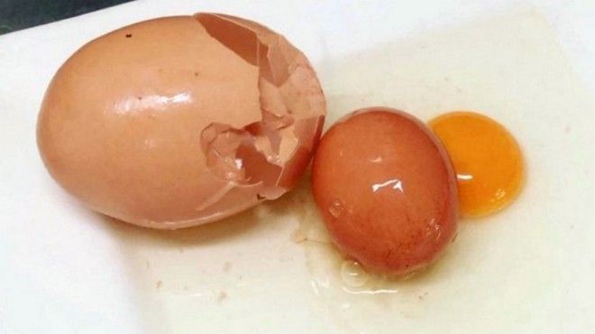 22 "сокровища", которые люди открыли в самых смешных местах