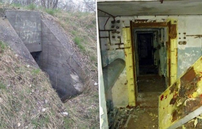 22 "сокровища", которые люди открыли в самых смешных местах