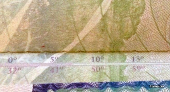 22 "сокровища", которые люди открыли в самых смешных местах