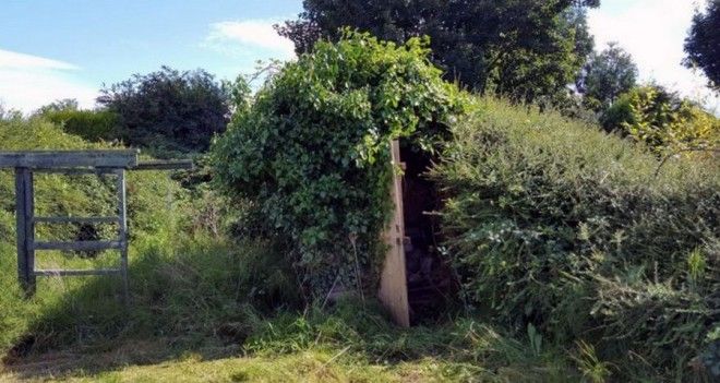 22 "сокровища", которые люди открыли в самых смешных местах