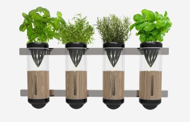 8 технологичных способов выращивать еду дома. Изображение № 4.