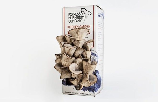 8 технологичных способов выращивать еду дома. Изображение № 8.