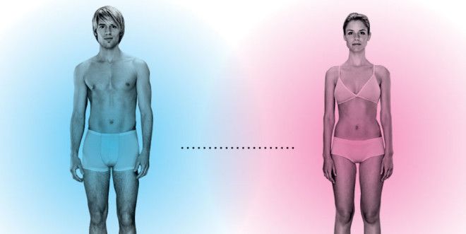 Такие разные: 100 различий между М и Ж