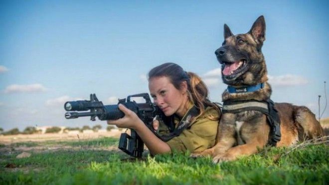 Боевые псы подразделения "Окец"