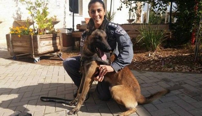 Боевые псы подразделения "Окец"