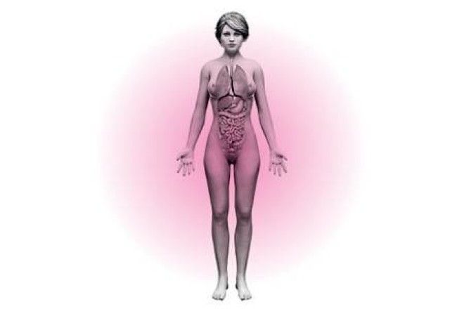 Ж. по многим параметрам развиваются быстрее. В большинстве случаев девочки начинают ходить на 2–3 месяца раньше, чем мальчики, и на 4–6 месяцев раньше — говорить. Фото: SPL/East News