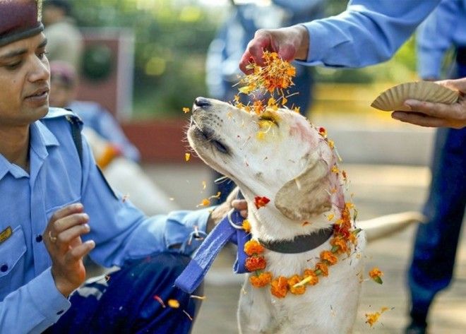 13 интересно-любопытных факта обо всем на свете