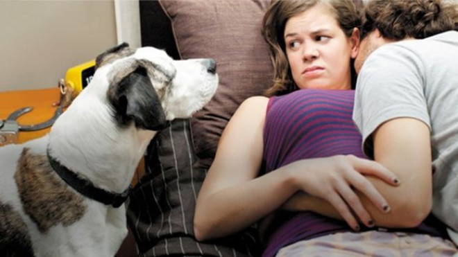 Что заставляет мужчин отказываться от секса на самом интересном месте