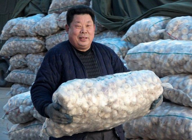 вред китайского чеснока