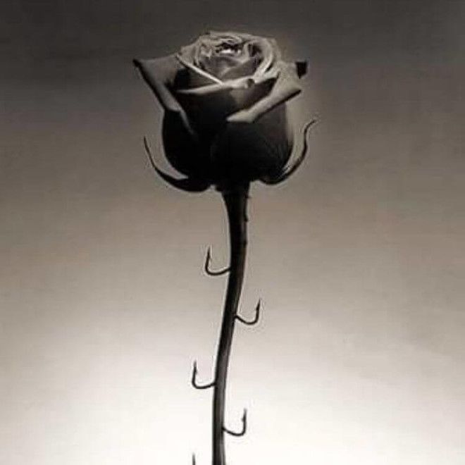 30 сюрреалистичных фото после которых вы перестанете верить своим глазам