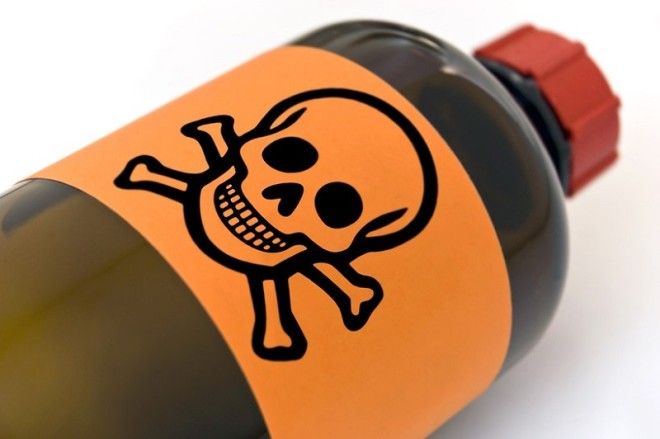 какой вред от чеснока