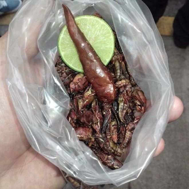 Странные блюда которые не каждый решился бы попробовать