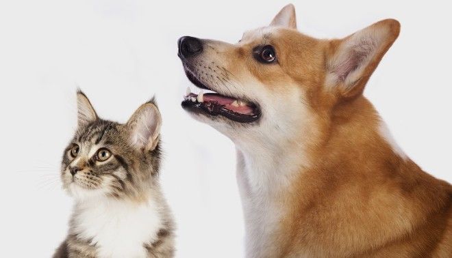 8 главных логических ошибок. Изображение № 4.