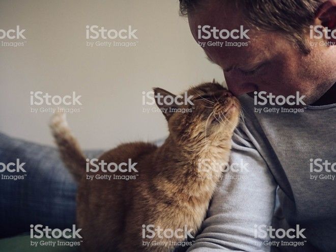 Ð&nbsp;ÐµÐ·ÑÐ»ÑÑÐ°Ñ Ð¿Ð¾ÑÑÐºÑ Ð·Ð¾Ð±ÑÐ°Ð¶ÐµÐ½Ñ