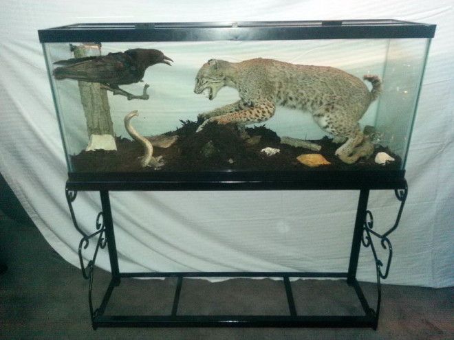 интересные фото на pixmafia.com