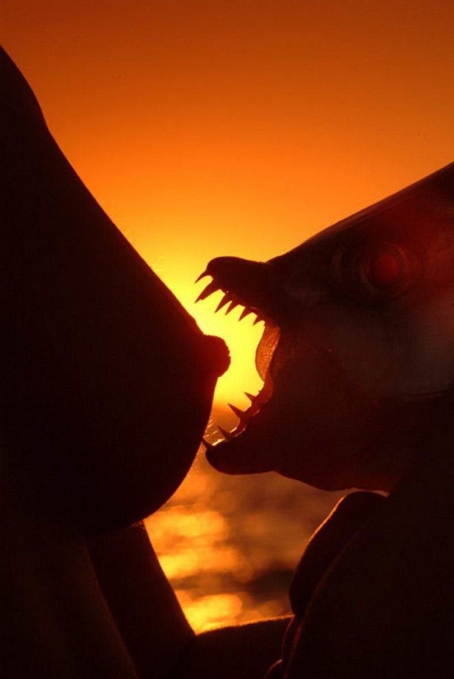 интересные фото на pixmafia.com