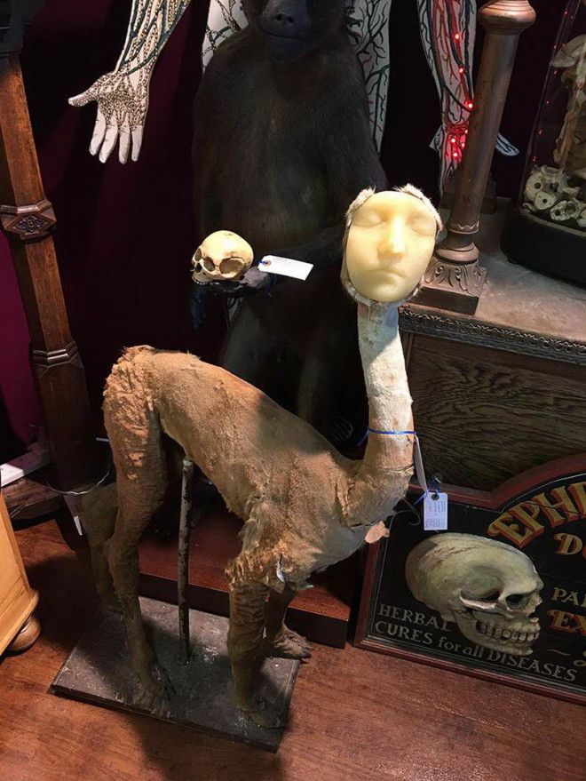 интересные фото на pixmafia.com