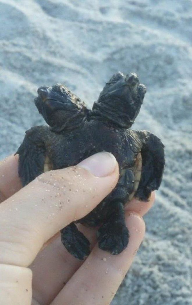 интересные фото на pixmafia.com