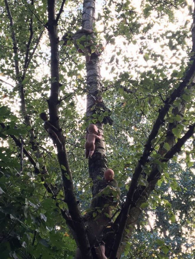 интересные фото на pixmafia.com