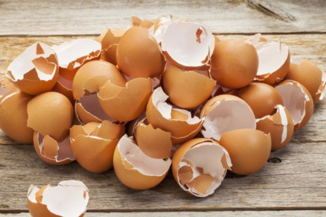 В раковину не следует смывать яичную скорлупу.