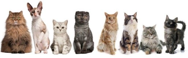 Ð&nbsp;ÐµÐ·ÑÐ»ÑÑÐ°Ñ Ð¿Ð¾ÑÑÐºÑ Ð·Ð¾Ð±ÑÐ°Ð¶ÐµÐ½Ñ