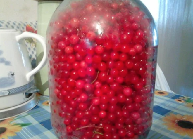 Польза калины