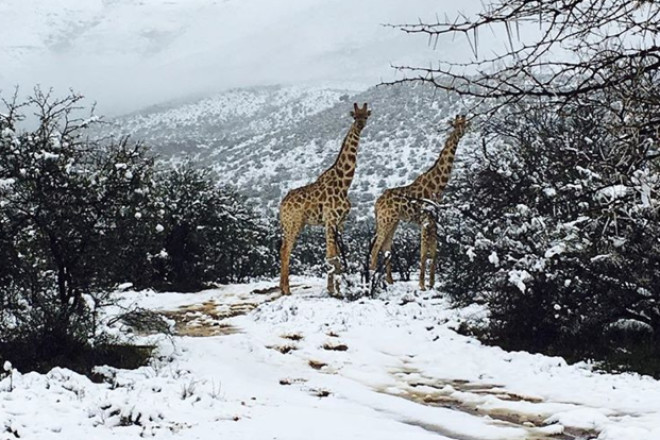 Ð&nbsp;ÐµÐ·ÑÐ»ÑÑÐ°Ñ Ð¿Ð¾ÑÑÐºÑ Ð·Ð¾Ð±ÑÐ°Ð¶ÐµÐ½Ñ