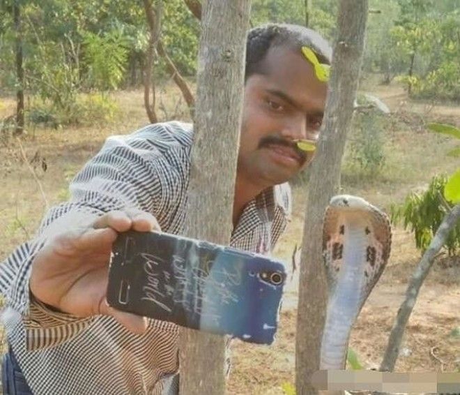 Селфи с тещей блины, зять, праздник, прикол, теща, юмор