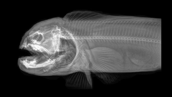 ÐÐ°ÑÑÐ¸Ð½ÐºÐ¸ Ð¿Ð¾ Ð·Ð°Ð¿ÑÐ¾ÑÑ
