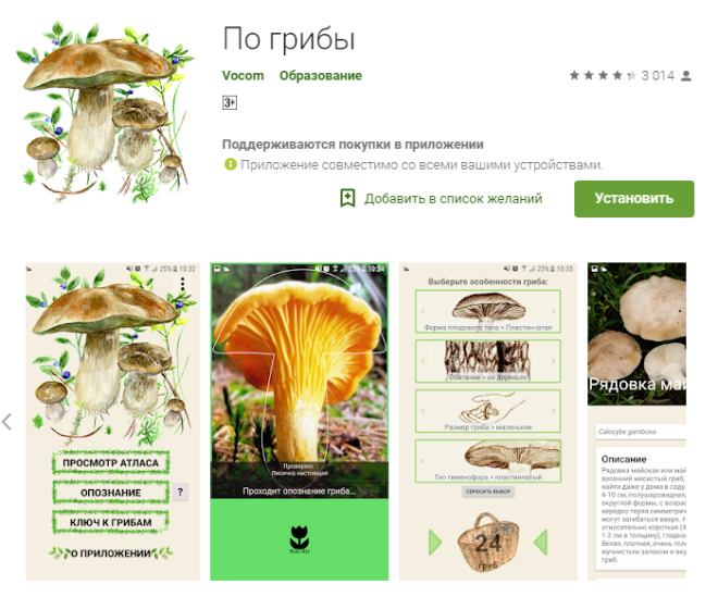 Приложения для смартфонов в помощь грибникам