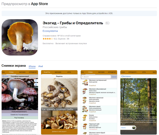 Приложения для смартфонов в помощь грибникам