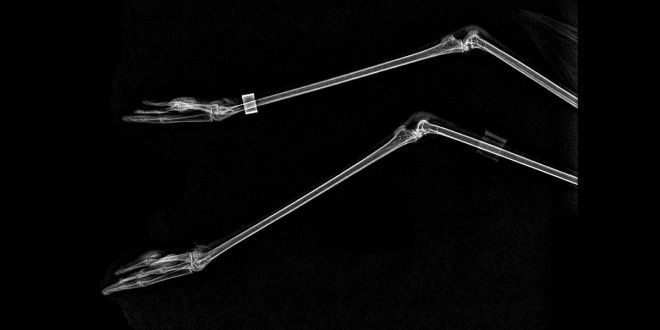 ÐÐ°ÑÑÐ¸Ð½ÐºÐ¸ Ð¿Ð¾ Ð·Ð°Ð¿ÑÐ¾ÑÑ